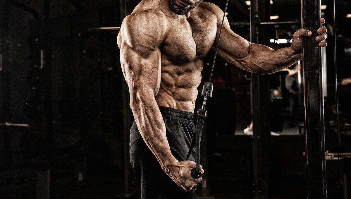 The Ultimate Muscle Groups Guide & How To Best Train Them - Levels