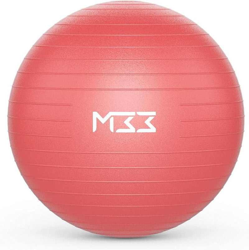 65cm Yoga Exercise Ball Gym Swiss Ball with Hand Pump Fitness