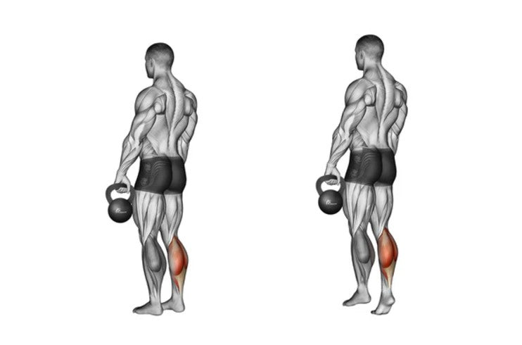 Kettlebell Calf raises